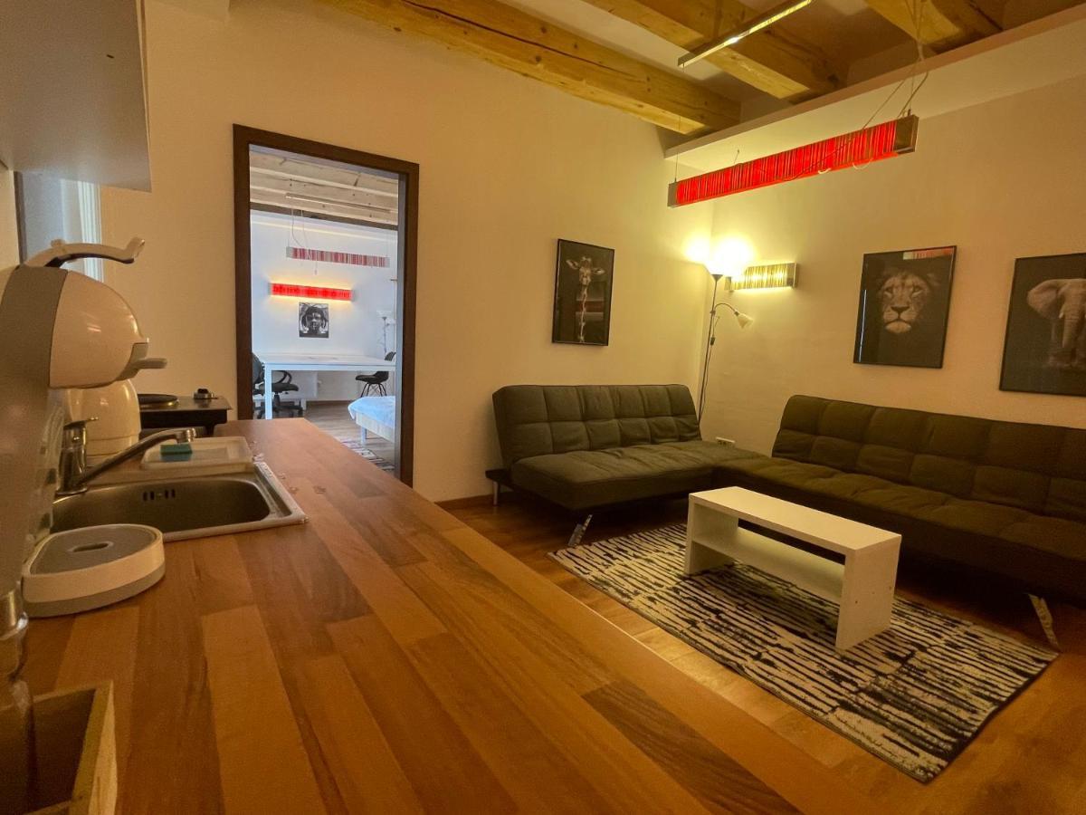 Savoya4 Old City Center Self Checkin Workspacestudio تيميشورا المظهر الخارجي الصورة